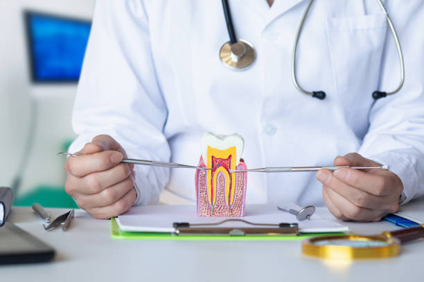 Best Walk-In Emergency Dental Services in Ellinwood, KS